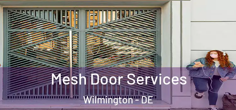 Mesh Door Services Wilmington - DE